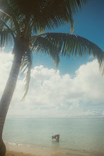 Load image into Gallery viewer, Holiday Bucket - Aqua Bloom