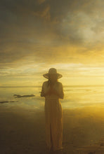 Load image into Gallery viewer, Palm Canyon